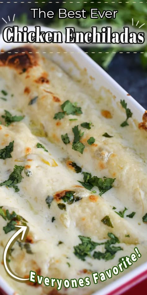 Creamy Chicken Enchiladas Recipe, Best Ever Chicken, Easy Chicken Enchilada Recipe, Crispy Baked Chicken Thighs, Chicken Enchiladas Recipe, White Chicken Enchiladas, Creamy Chicken Enchiladas, Sour Cream Chicken, Chicken Enchiladas Easy