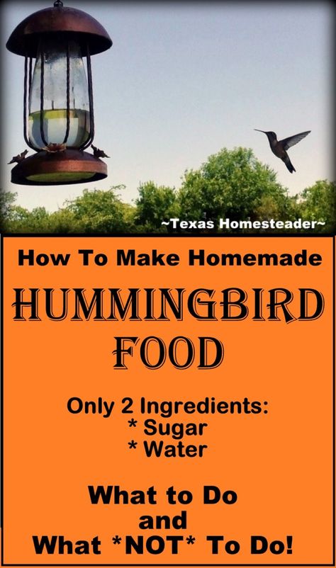 Easy 2-Ingredient Homemade Hummingbird Food. ~ Texas Homesteader ~ How To Make Hummingbird Food, Diy Hummingbird Food, Hummingbird Food Recipe, Sugar Water For Hummingbirds, Make Hummingbird Food, Homemade Hummingbird Nectar, Homestead Hacks, Homemade Hummingbird Food, Homesteading Inspiration