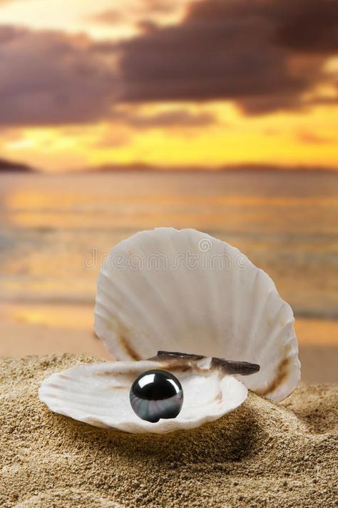 Black pearl. On the beach , #Sponsored, #Black, #pearl, #beach #ad Ayat Quran, Ayat Al-quran, Beautiful Pics, Islamic Teachings, Holy Quran, Quran Verses, Black Pearl, Alchemy, Beautiful Quotes