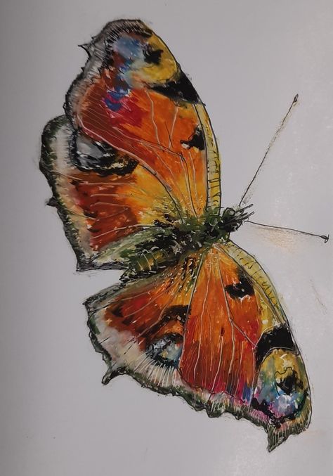 Butterfly Oil Pastel, Oil Pastel Butterfly, Natural Forms Gcse, Metamorphosis Art, Igcse Art, Scrapbooking Printables, Art Unit, Morning Art, Natural Form Art