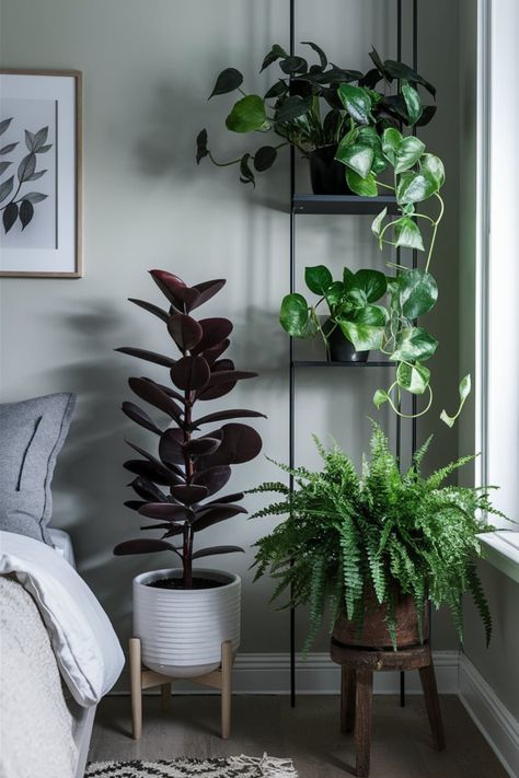 Discover why the Snake Plant is one of the best plants for your bedroom, offering both style and air-purifying benefits right next to your bed. #BedroomPlants #SnakePlant #AirPurifyingPlants Plant Next To Bed, Bedside Plants, Plants In Bedroom Aesthetic, Plant In Bedroom, Plants For The Bedroom, Plants For Bedroom, Plants In Bedroom, Plants Benefits, Best Plants For Bedroom