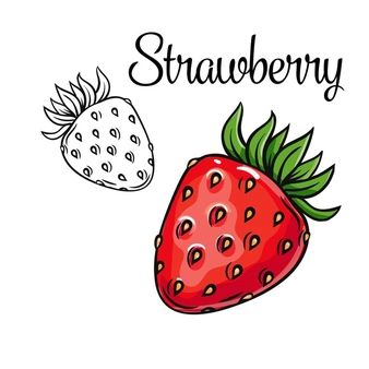 Victoria_sergeeva | Freepik Strawberry Illustration Drawings, Food Drawing Strawberry, Strawberry Images Clip Art, Strawberry Vector, Strawberry Vector Illustration, Chalkboard Vector, Strawberry Drawing, Vegetable Drawing, Party Icon