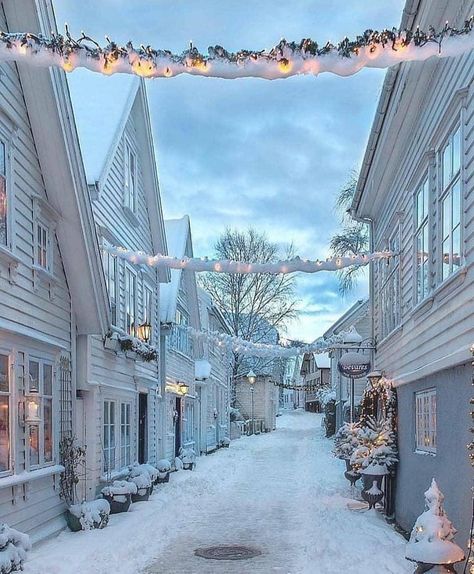 Stavanger Norway, Winter Szenen, Scandinavian Countries, Norway Travel, Europe Map, Stavanger, Winter Scenery, Winter Pictures, Beautiful Places In The World