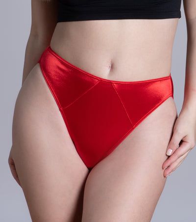 Satin Panty, Satin Lingerie, Stretch Satin, High Cut, Second Skin, String Bikinis, Classic Style, Lingerie, Spandex