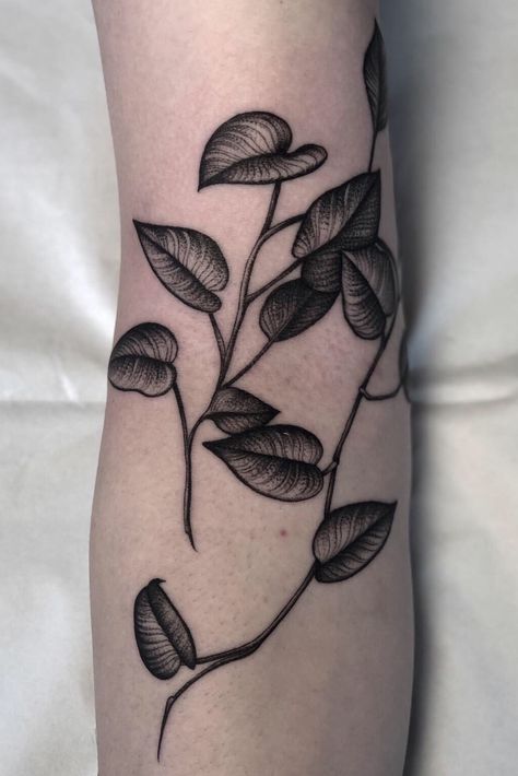 @blackoaktattoo #chicago #tattoos #blacktattooing #blacktattooart #222 #tattoodo #everythingwithlove | By Tine DeFiore | Aug 13th 2019 | 1136465 Pothos Tattoo, Matching Tats, Explore Tattoo, Plant Tattoo, Book Tattoo, Black Tattoos, Tattoos And Piercings, I Tattoo, Geometric Tattoo