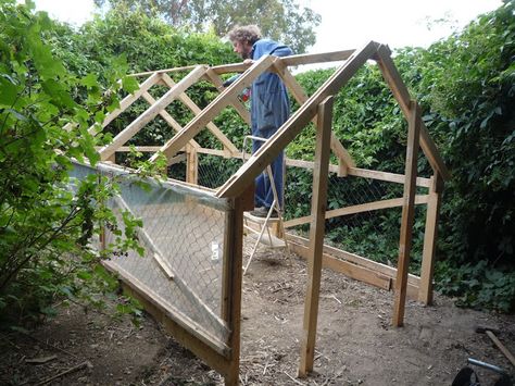 Pallet Greenhouse, Diy Greenhouse Plans, Build A Greenhouse, Home Greenhouse, Small Greenhouse, Building A Chicken Coop, Greenhouse Plans, Diy Greenhouse, Garden Greenhouse