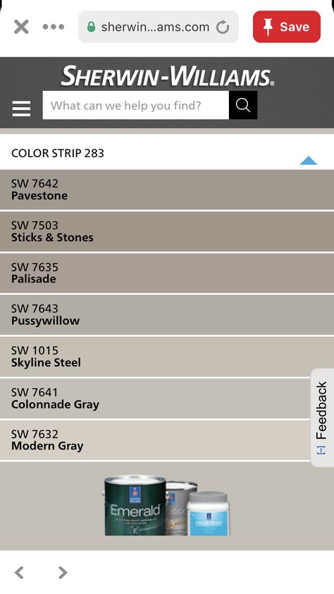 Sw Sticks And Stones Paint, Skyline Steel Sherwin Williams, Sticks And Stones Sherwin Williams, Sherwin Williams Sticks And Stones, Barn Cabinets, Porch Renovation, Repose Gray Sherwin Williams, Spec House, Zyla Colors