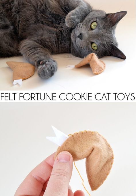 Felt Fortune Cookie Cat Toys ⋆ Dream a Little Bigger Felt Cat Toys, Cookie Cat, Handmade Cat Toys, Crochet Cat Toys, Homemade Cat Toys, Diy Pet Toys, Diy Cat Toys, Fortune Cookies, Homemade Cat