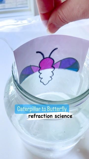 Crawling Insects Preschool, Life Of A Butterfly Preschool, Bug Science Experiments Preschool, Butterfly Science Activities Preschool, Butterfly Cycle Activities, Butterfly Science Experiment, Butterfly Curriculum Preschool, Butterfly Stem Activities For Preschool, Insect Science Experiments