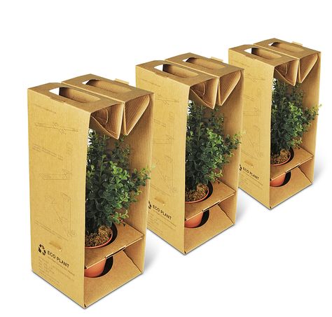 Red Dot Design Award: Eco Plant Eco Packaging Design, Corrugated Packaging, Packaging Food, Packaging Design Trends, Packaging Ideas Business, Plant Box, Eco Packaging, Box Packaging Design, Red Dot Design