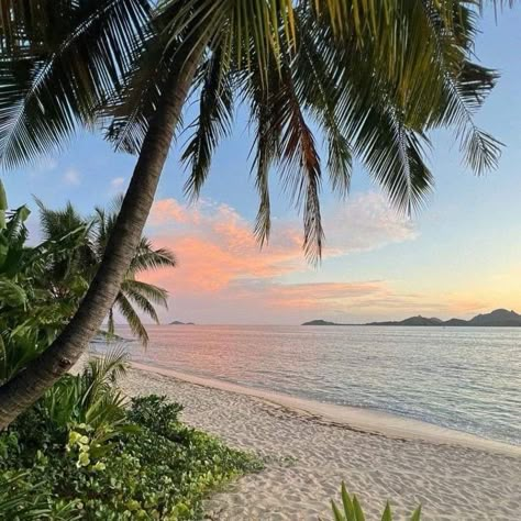 Aesthetic Tropical, Fiji Islands, Island Vibes, Sunset Pictures, Summer Dream, Summer Pictures, Beach Aesthetic, Summer 24, Nature Aesthetic