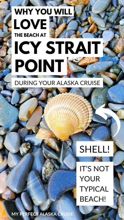 Alaska cruise port tips. easy and free things to do in icy strait point cruise port! you can go to the beach on your own at icy strait point from the cruise ship! it is right there! look down to see what you can find, like maybe shells! look up to see if you can spot wildlife! alaska cruise tips! see the blog for what you might see at the beach. things to do in icy strait point. alaska beach. alaska shelling. shelling in the US. hoonah alaska. Icy Point Strait, Icy Strait Point Alaska Things To Do, Hoonah Alaska, Icy Strait Point Alaska, Alaska Beach, Alaska Cruise Excursions, Alaska Travel Cruise, Alaska Cruise Packing, Alaska Cruise Ports