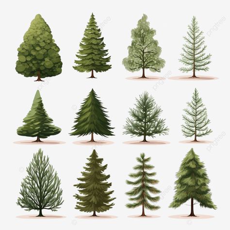 fir tree vector illustration set design to celebrate christmas christmas symbols winter party chri Fir Trees Landscape Yards, Christmas Tree Landscape, Denmark Landscape, Forest Clip Art, Pine Tree Clipart, Forest Christmas Tree, Tree Vector Illustration, Christmas Abstract, Trees Clipart