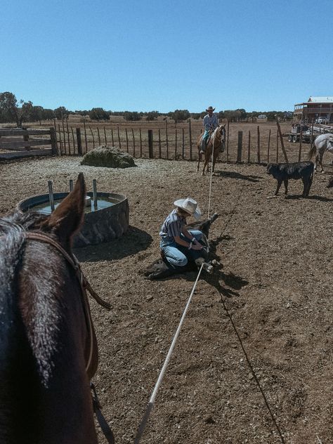 Roping Cattle, Ranch Hand Aesthetic, Ranch Hand, Real Cowgirl, Horse Barn Ideas Stables, Country Summer, Cowboy Aesthetic, Western Life, Rodeo Life