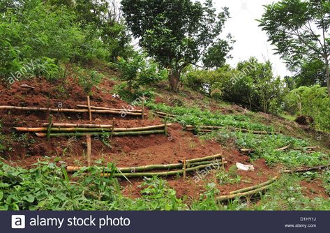 Terraced Slope, Seven Sisters Waterfall, Terraced Vegetable Garden, Terraced Landscaping, Hillside Garden, Sloped Backyard, Waterfall Trail, Garden Waterfall, Vegetable Garden Planning