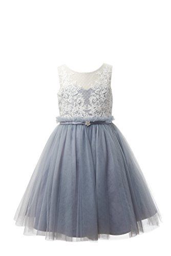 Blue Tulle Skirt, Popular Wedding Colors, Flower Girl Dresses Blue, Wedding Color Combos, Dusty Blue Bridesmaid Dresses, Junior Bridesmaid Dress, Wedding Colors Blue, Wedding Flower Girl Dresses, Dusty Blue Weddings