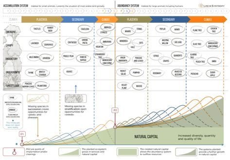 What is Syntropic Farming, and how can farmers benefit Syntropic Farming, Ecological Succession, Curacao Island, Food Forest Garden, Conservation Of Natural Resources, Natural Ecosystem, Forest Garden, Food Forest, Photosynthesis