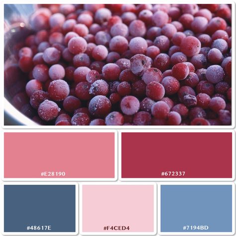 A touch of frost.    Photo colour palette colour scheme design bowl berries red pink blue Raspberry And Blue Color Palette, Blue Pink Red Colour Scheme, Pink And Red Colour Scheme, Berry Colour Palette, Raspberry Colour Palette, Edinburgh Photoshoot, Color Palette Fashion, Burgundy Color Scheme, Blue Pallets