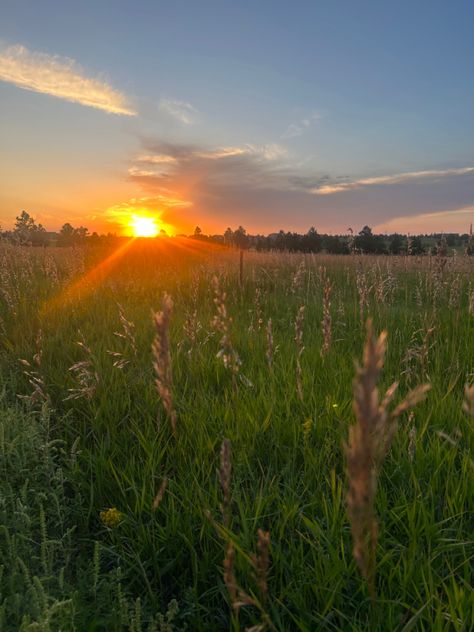 Sunset over meadow with wheat Traumatic Livelihood, Meadow Sunset, Sunset Meadow, Travel Views, Gorgeous Places, Art Competitions, 4 Seasons, Bingo, Dream Life