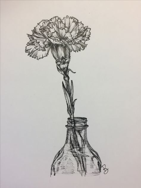 Pen illustration, carnation Brooke Bowlin, 2017 @brookebowlin.art Carnation Sketch, Carnation Flower Drawing, Carnation Drawing, Pen Illustration, Carnation Flower, Pen Sketch, Acrylic Painting For Beginners, Canvas Painting Diy, Flower Drawing