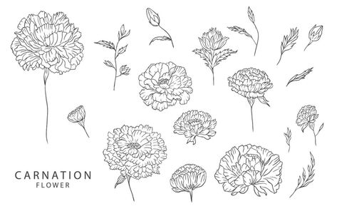 fleur collection avec ligne œillet élément.vecteur illustration pour icône, autocollant, imprimable, tatouage Tattoos