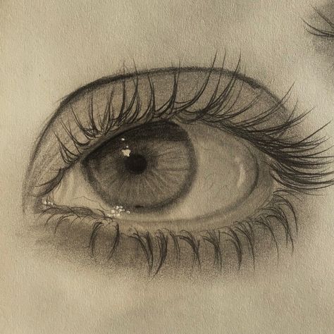 Eye Drawing Guidelines, Things With Meaning To Draw, Eye Drawing Reference Digital, Big Eye Drawing Sketch, Beginner Realism Drawing, Male Facial Features Drawing, Eye Detail Drawing, Drawing Ideas Realistic Pencil, Tonal Eye Drawing