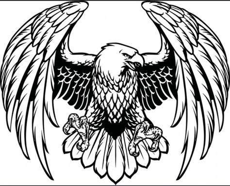 Eagle Sketch Tattoo, Eagle Outline, Tato Phoenix, Eagle Sketch, Eagle Skull, Eagle Drawing, Animal Ideas, Skull Art Drawing, Laser Files