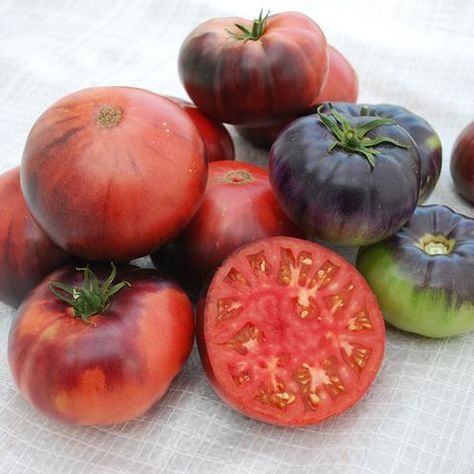 organic vegetable seed - Harris Seeds Beefsteak Tomato, Cucumber Seeds, Organic Tomatoes, Blue Beauty, Vegetable Seeds, Blue Tomato, Green Fruit, Tomato Seeds, All Vegetables