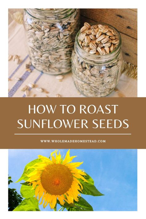 Learn how to roast sunflower seeds at home with this step-by-step tutorial — from planting the flower and harvesting the seeds to roasting and storing. Homemade Sunflower Seeds, Roasted Sunflower Seed Recipes, Drying Sunflowers For Seeds, Flavored Roasted Sunflower Seed Recipes, Roast Sunflower Seeds Oven, Honey Roasted Sunflower Seeds, How To Roast Sunflower Seeds, Toasted Sunflower Seeds, Roasting Sunflower Seeds