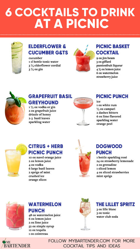 Cocktails To Drink At A Picnic Picnic Cocktails, Fun Cocktail Recipes, Cocktail Picnic, Picnic Drinks, Cocktail Recipes Tequila, Easy Summer Cocktail Recipes, Bartender Drinks Recipes, Wine Cocktail Recipes, Cocktail Fruit