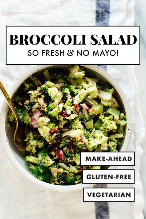 This HEALTHY broccoli salad recipe will be your new favorite! This mayo-free, lightened-up broccoli salad features raw broccoli, sunflower seeds, red onion, optional cheddar cheese, and dried cranberries in a simple honey-mustard dressing. #broccolisalad #healthyrecipe #side #cookieandkate #vegetarian Healthy Broccoli Salad, Salad Cucumber, Healthy Broccoli, Vegetarian Salad, Raw Broccoli, Honey Mustard Vinaigrette, Broccoli Salad Recipe, Honey Mustard Dressing, Resep Diet