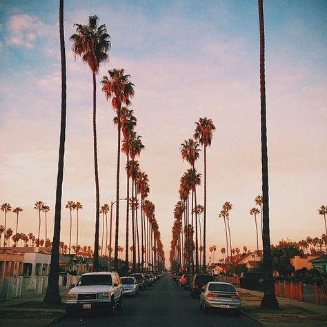 South Central, Los Angeles, Instagram by __sabin__ South Central Aesthetic, South Central Los Angeles Aesthetic, South Central Los Angeles 90s, South California Aesthetic, Ivy Sullivan, Jay Core, South Central Los Angeles, Compton California, Los Angeles Photography