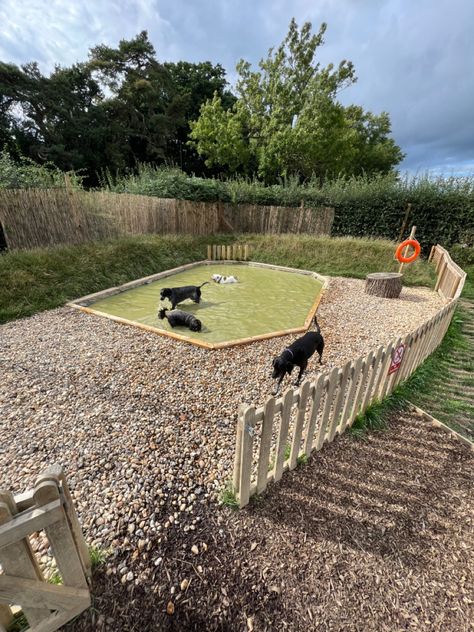 A secure dog adventure field in Hookwood, Surrey #dog #dogs #dogsfield #securefield #hookwood #surreydogfield #dogtraining #dogowners #dogpark #securedogpark #dogwalk Dog Turf, Dog Friendly Garden, Dog Friendly Backyard, Indoor Dog Kennel, Dog Playground, Life Adventure, Dog Training Advice, Dog Exercise, Pet Blog