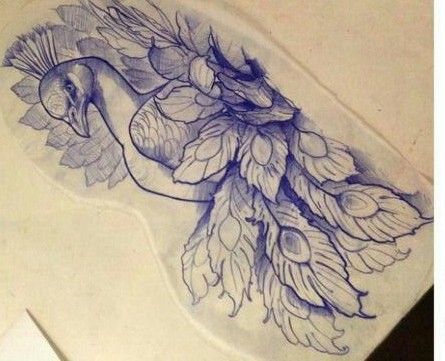 Neotraditional Peacock Tattoo Design, Peacock Drawing Tattoo, Peacock Tattoo Stencil, Peacock Neotraditional Tattoo, Peackok Tattoos, Japanese Peacock Tattoo, Pavo Real Tattoo, Peacock Back Tattoo, Bird Sketch Tattoo