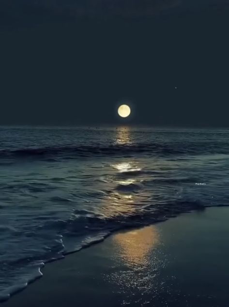 Moon Sea Night, Fool Moon, Full Moon Moon Water, Moon In The Ocean Night, Moon In Beach Night, Blue Moon Photography, Beautiful Black Babies, Moon Photography, Black Babies