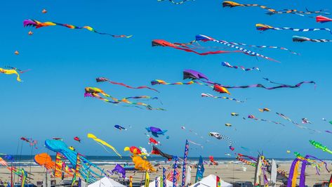 Fun in the sky, Sarıgerme Kite Festival! Westport Washington, Luxury Beach Vacation, Washington Vacation, Go Fly A Kite, Kite Festival, Beach Festival, Festivals Around The World, Makar Sankranti, Kite Flying