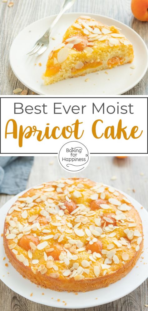 Austrian Apricot Cake, Almond And Apricot Cake, Apricot Bundt Cake, Apricot Pudding Recipe, Almond Apricot Cake, Desserts With Apricots, Apricot Preserves Dessert, Recipes For Fresh Apricots, Chocolate Apricot Cake