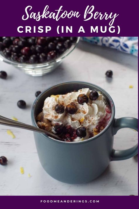 Saskatoon berry crisp in a blue mug with a spoon, with Saskatoon strewn around and bowl of Saskatoons in the background Saskatoon Berry Crisp, Saskatoon Recipes, Saskatoon Berry Recipe, Saskatoon Berry Pie, Potluck Recipes Dessert, Berry Pie Filling, Saskatoon Berry, Berry Crisp, Weight Watchers Dessert Recipes