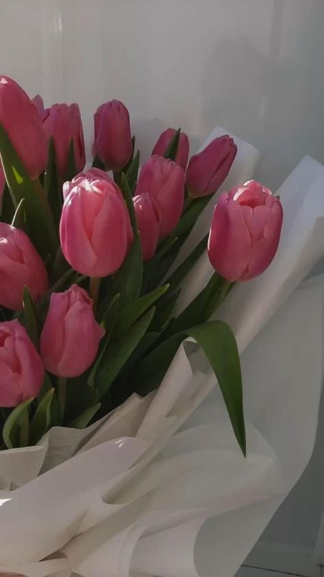 Boquette Flowers, Flowers Beautiful, Beautiful Bouquet Of Flowers, Pink Tulips, Bouquet Of Flowers, Tulips Flowers, Beautiful Bouquet, Tulips, Flowers