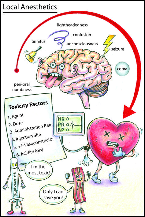 Toxicology Poisons, Operating Department Practitioner, Nursing Flashcards, Physician Assistant School, Nurse Anesthesia, Medical Mnemonics, Urgent Care Clinic, Nursing Assessment, Medicine Studies