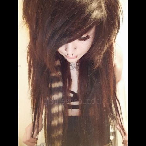 Scene Hair Coontails, Scene Hair Brown, Coontails In Hair, Coontail Hair, Brown Emo Hair, Brown Scene Hair, Scene Queen Hair, Scene Emo Aesthetic, Emo Scene Girls