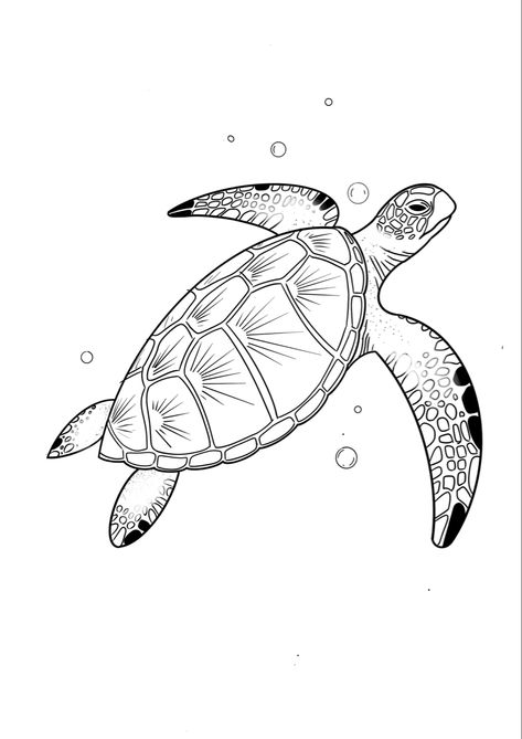 Drawing Sea Turtles, Turtle Drawing Tattoo, Sri Lanka Tattoo, Sea Turtle Outline, Sea Life Tattoo, Sea Turtle Tattoo Design, Turtle Stencil, Turtle Outline, Sea Life Tattoos