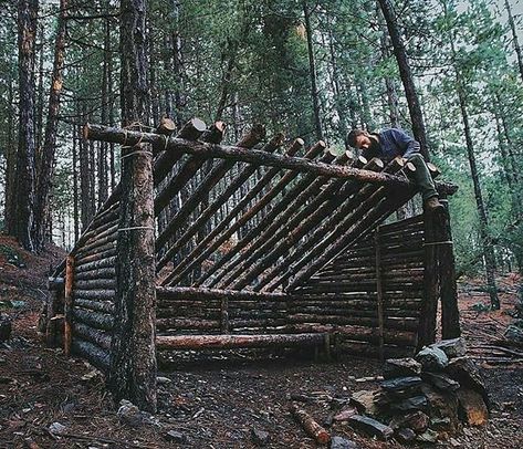 Bushcraft shelter in the making only dead trees used. Do you like these kinda shelters?  @outdoorsurvivalgear . : @murattuncerrr #outdoorsurvivalgear Bushcraft Shelter, Camping Shelters, Outdoor Survival Gear, Bushcraft Skills, Bushcraft Camping, Survival Shelter, Wilderness Survival, Survival Tools, Camping Survival