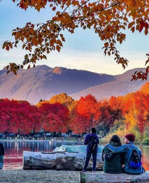 Vancouver BC Canada 🇨🇦 Travel | Hotels | Food | Tips on Instagram: "Autumn vibes will always be the best in Vancouver !🍂😍 🏷Which one is you favorite? 📷: Credits 1. @zeke.vancity 2. @cktkwok 3. @caspertrips 4. @_j.mike 5. @cktkwok 📍Vancouver B.C 🇨🇦 #vancouver #vancity #bc #britishcolumbia #canada #autumn #autumnvibes #autumncolors #fall #fallcolors" Canadian Autumn, Canada Autumn, Trout Lake, Canada Vancouver, Vancouver Bc Canada, Hotel Food, Instagram Autumn, Bc Canada, Food Tips