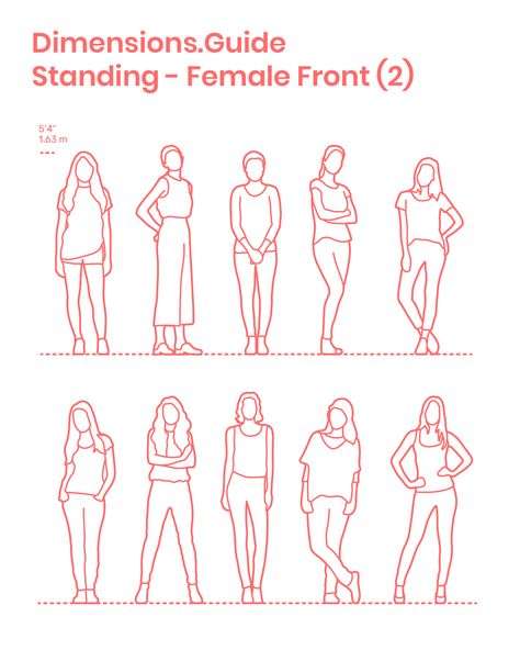 Group of adult women standing in various casual postures facing forward with the average height of 5’4” | 1.63 m. Illustrations available as both detailed drawings and outlined silhouettes for use in elevation and section drawings to represent scale. Downloads online #people #humans #standing Standing Posture Drawing, How To Draw People Standing, Woman Standing Illustration, People From Behind Reference, People Standing Drawing, Woman Standing Drawing, Casual Standing Poses Drawing, Human Silhouette Drawing, Group Of People Drawing