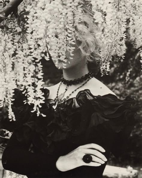 BONJOUR Albert Watson, Edward Hopper, Anais Nin, Victorian Gothic, Photography Inspo, Wisteria, Dark Aesthetic, Dark Art, A Tree