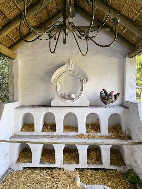 Chicken Roost, Casa Hobbit, Cute Chicken Coops, Coop Design, Beautiful Chickens, Chicken Coop Designs, Chicken Garden, Chicken Coop Ideas, Coop Ideas