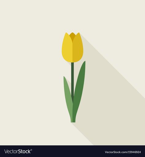 Tulip Vector Illustration, Tulip Graphic, Tulips Illustration, Tulip Illustration, Tulips Art, Tulip Fields, Long Shadow, Flat Icon, Flat Illustration