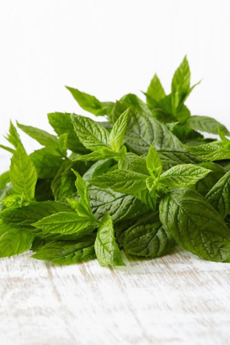 If you don't have sufficient space to dry mint by hanging it up for natural air-drying, you can use your oven to make dried leaves in much less time. Dehydrating Herbs, How To Store Ginger, Herb Garden Tips, Essential Oils For Cough, Deep Blue Doterra, Energy Boosting Foods, Suburban Garden, Witchy Garden, Growing Basil