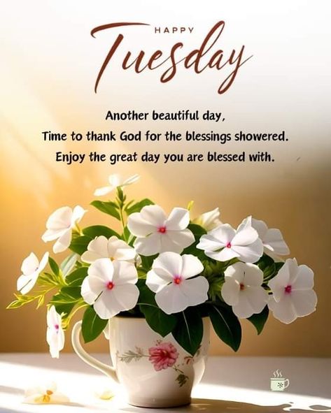 Tuesday Blessings Mornings, Happy Tuesday Blessings, Happy Tuesday Good Morning, Greetings English, Good Morning Tuesday Wishes, Blessed Tuesday, Beautiful Morning Images, Good Morning Happy Tuesday, Happy Tuesday Images